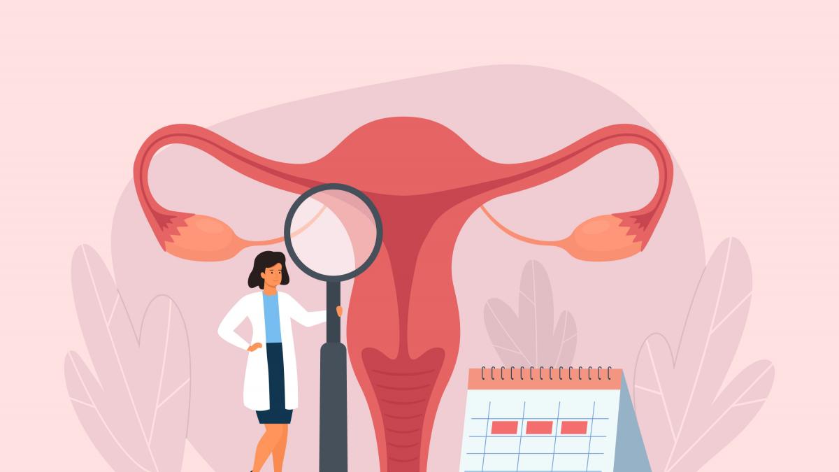 Vagina Vagina