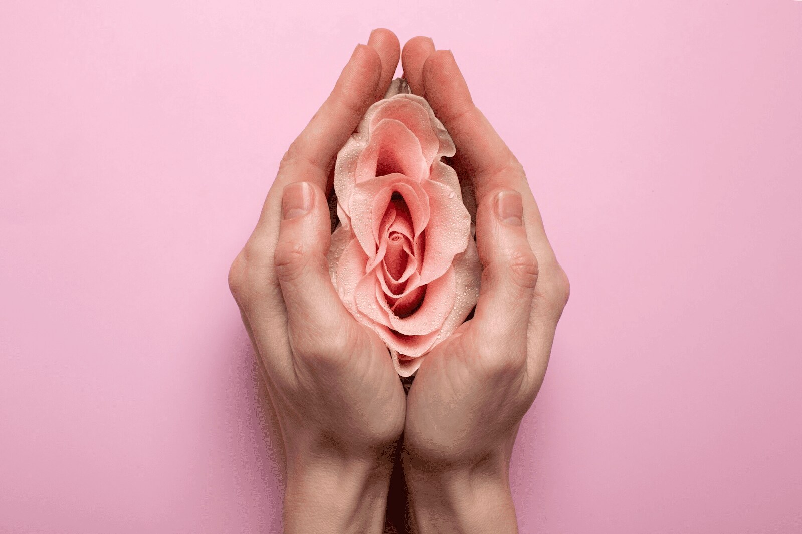 Mujer sujetando una rosa entre sus manos